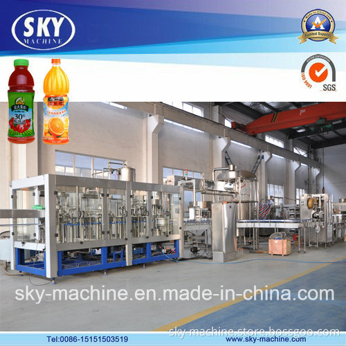 Complete Bottled Juice Filling Production Line